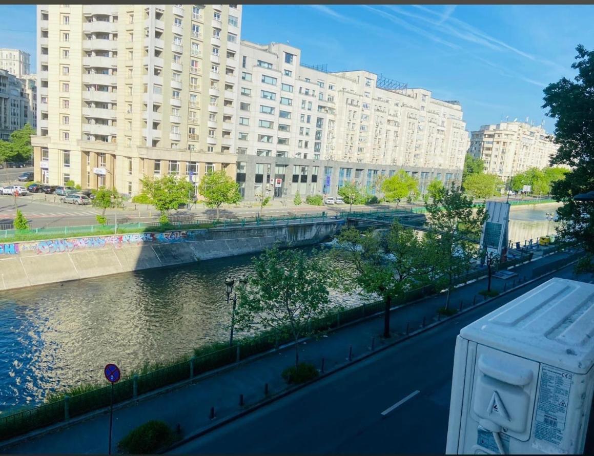 Studio Confort بوخارست المظهر الخارجي الصورة